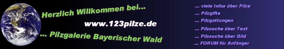 logopilze